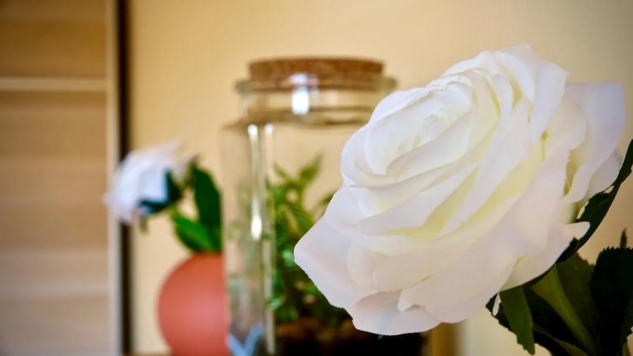 Guest house Maison Cinquante Milan Italy